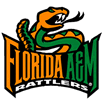 Florida A&M University