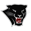 Panthers Logo